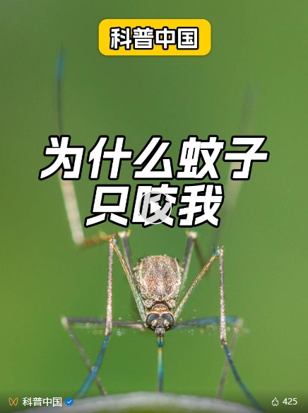 微信截图_20240516142038.png