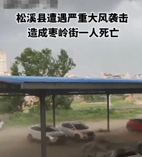 微信截图_20240822142359.png