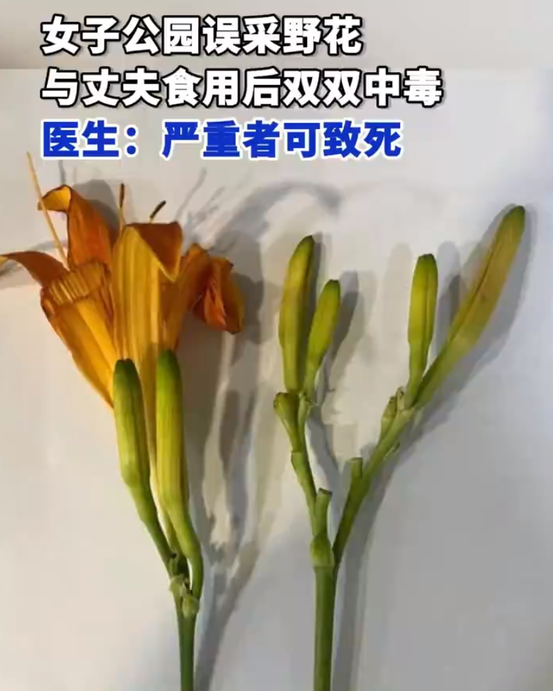 微信图片_20240827150928.png