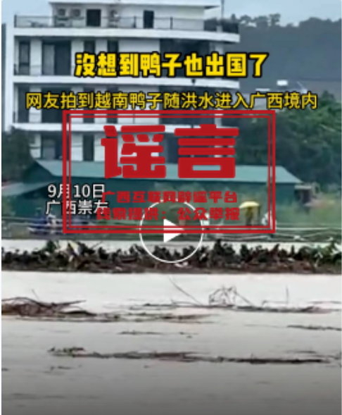 微信图片_20240913145705.png