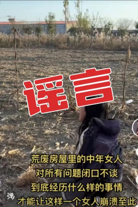 微信截图_20241202143412.png