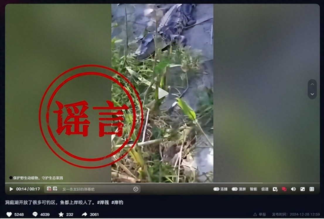 199deff1cfa642aea6325063fb927d20~tplv-tt-origin-web_gif.jpeg