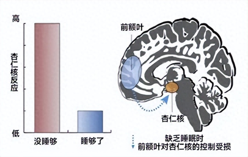 cebbb94fb9754801a9c11b75ac327596~tplv-tt-origin-web_gif.jpeg