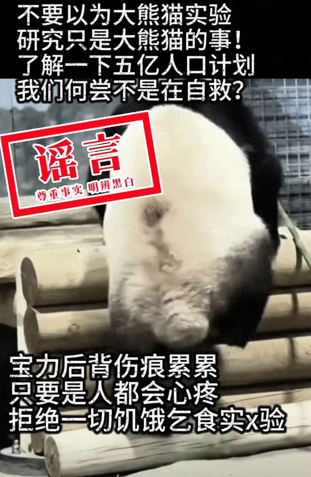 ee598143d6e44819b631ad061316df64~tplv-tt-origin-web_gif.jpeg
