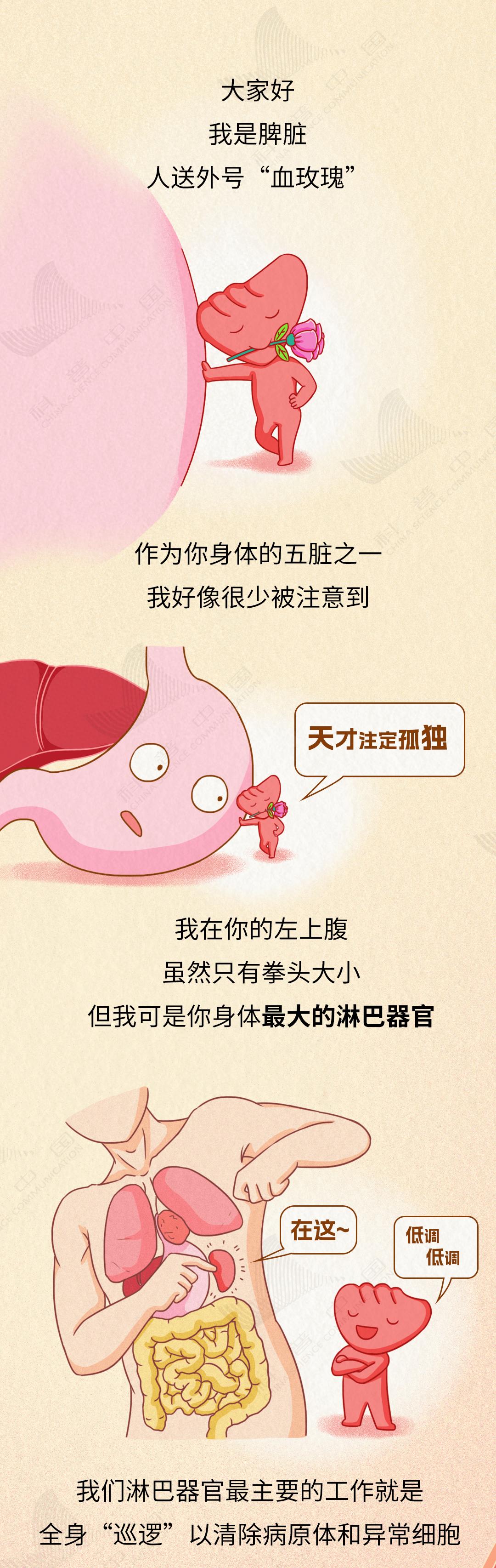 c35ffab2c4074bcba363525c56ffff42~tplv-tt-origin-web_gif.jpeg