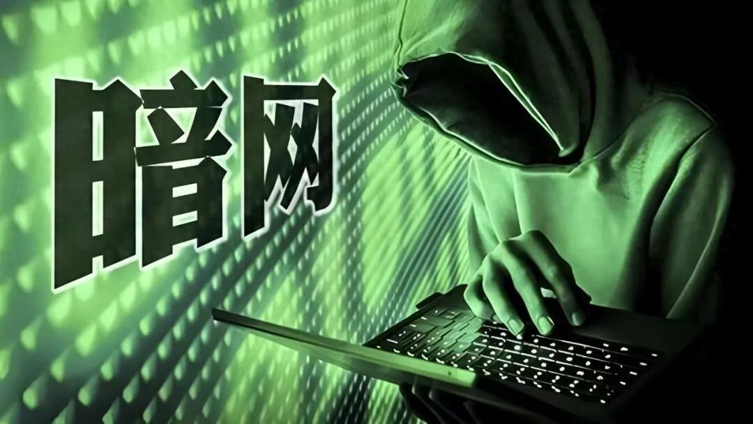 触碰这张“网”，后果比你想的更严重！