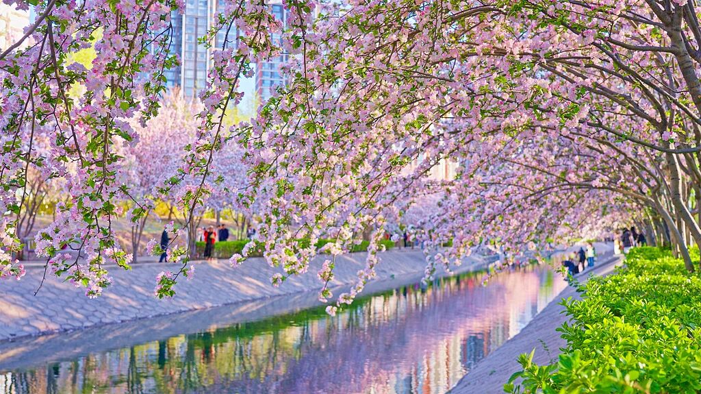 今日清明，讲个冷知识