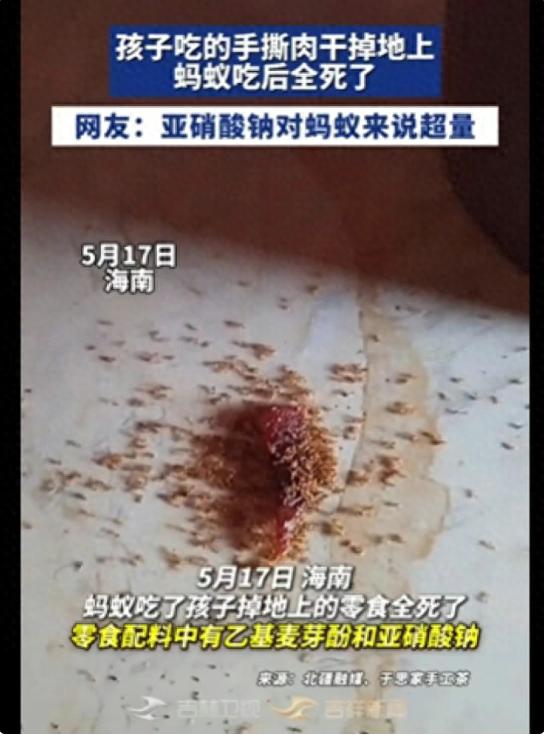 bbf3f5816eef4bcbb1c0f5d389491ea0~tplv-tt-origin-web_gif.jpeg
