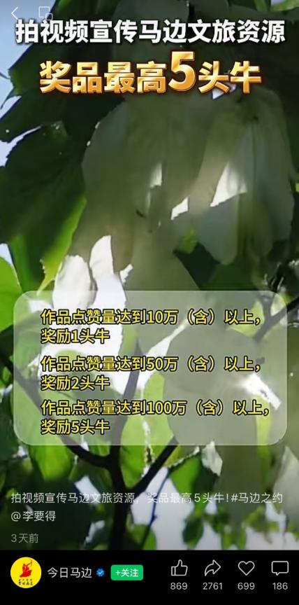 b0fe3cb319a04a05aa77b730dd02025b~tplv-tt-origin-web_gif.jpeg