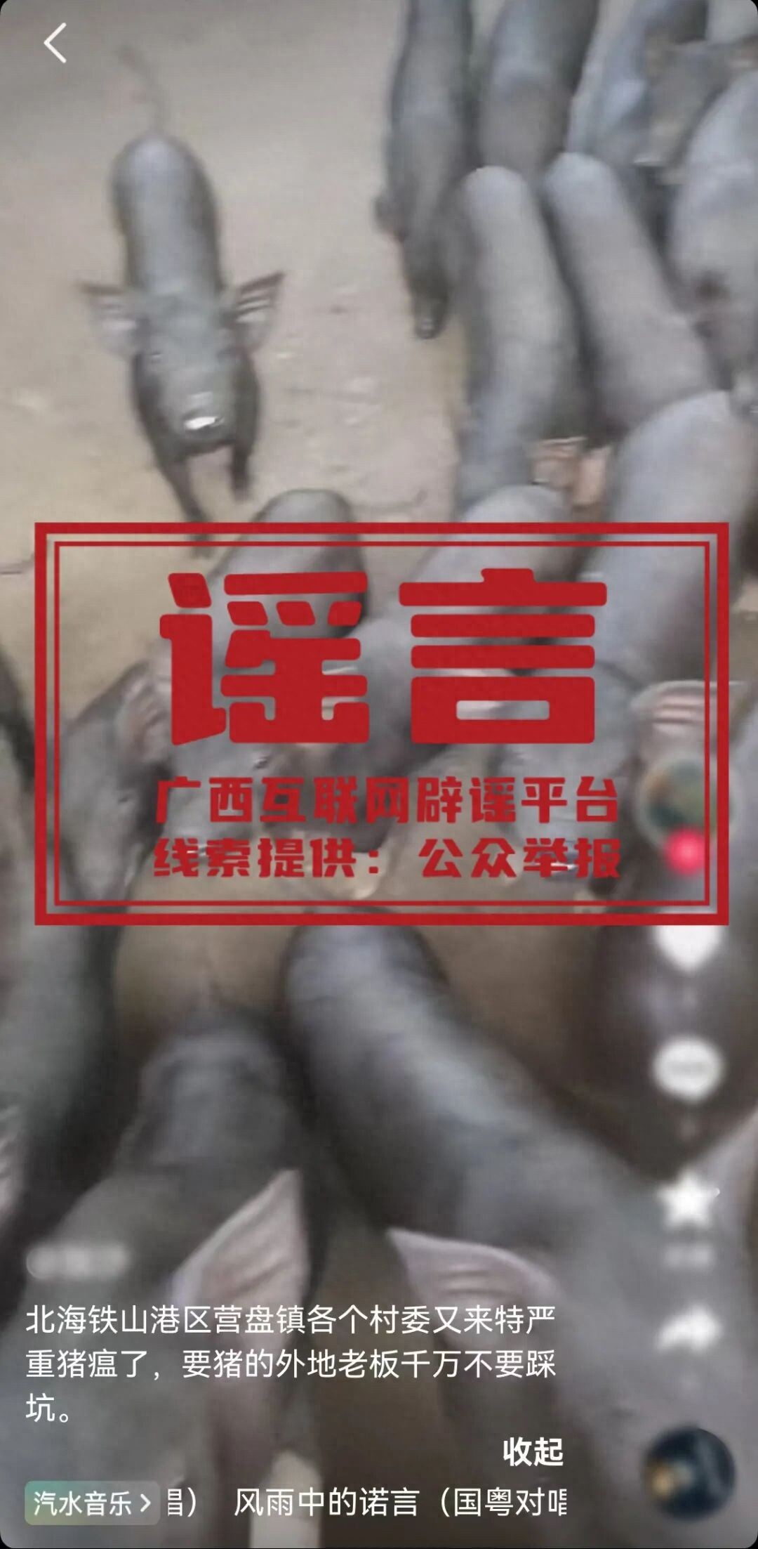 3fdc710591534730ac3d08d49a48ad57~tplv-tt-origin-web_gif.jpeg