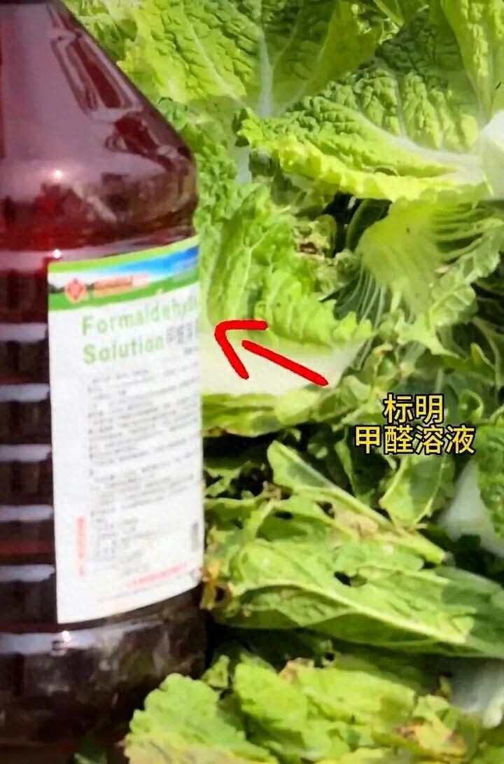 33bccacf6e9641529f5e121822fdc19b~tplv-tt-origin-web_gif.jpeg