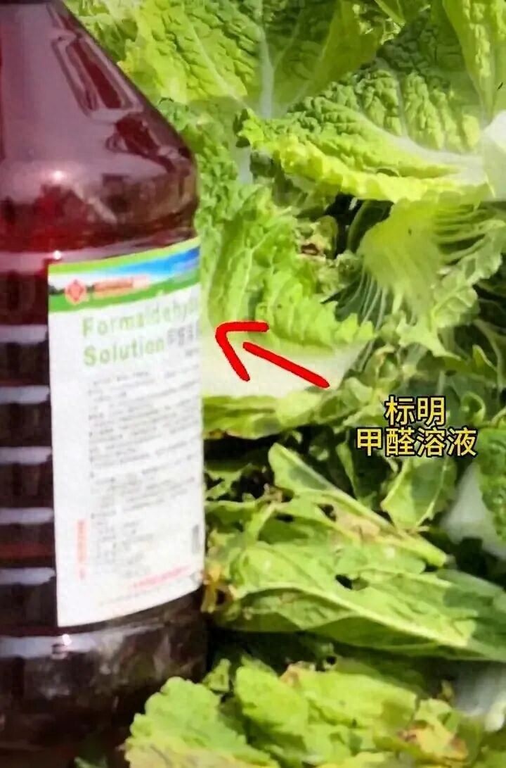 0a322f12ee8447deb8e0b83cf2aed951~tplv-tt-origin-web_gif.jpeg