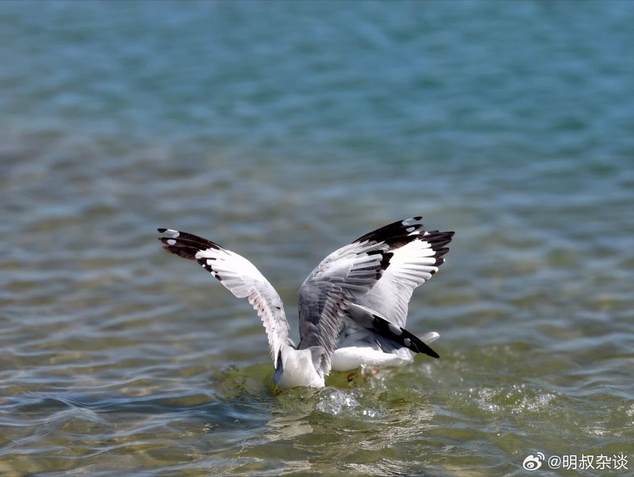 微信图片_2026-09-03_164244_986.jpg