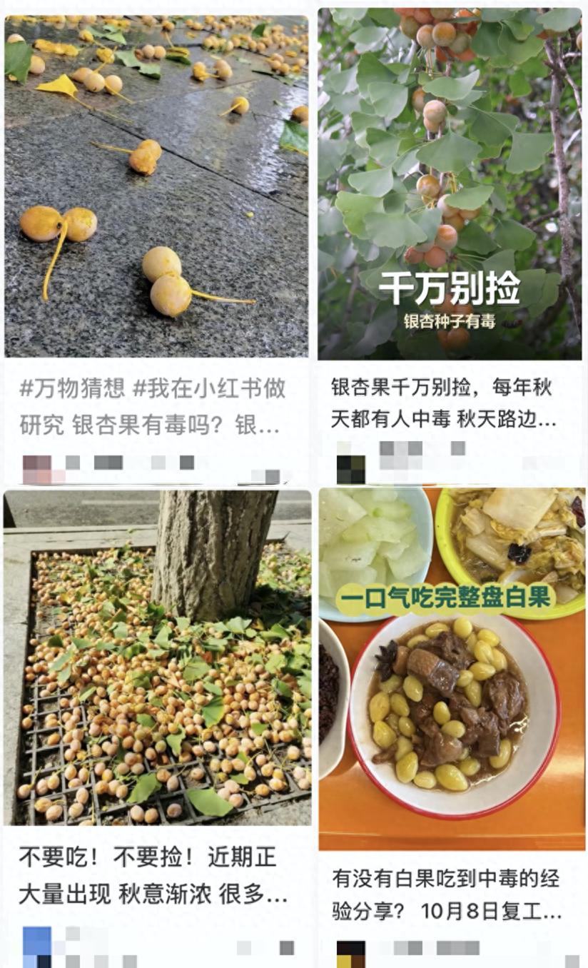 884763a2d781453c8a60ca509e047065~tplv-tt-origin-web_gif.jpeg